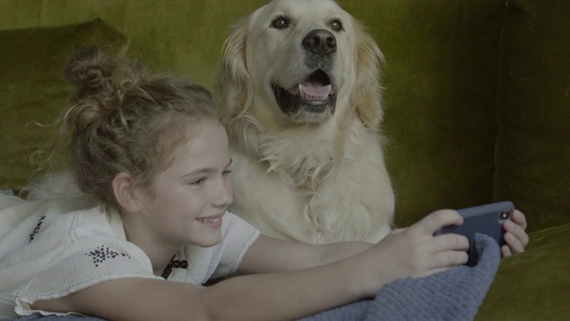 好玩的女孩在沙发上和金毛狗自拍视频素材