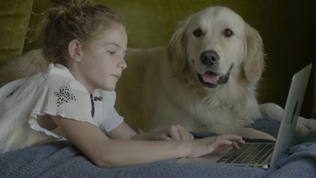 女孩在沙发上使用金毛猎犬的笔记本电脑视频素材