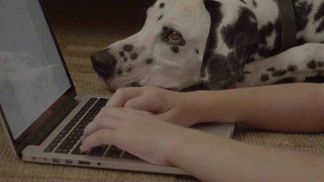 微笑的女孩使用达尔马提亚狗的笔记本电脑视频素材