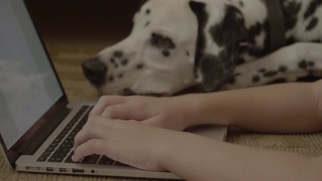 可爱的女孩在家里用达尔马提亚狗的笔记本电脑视频素材