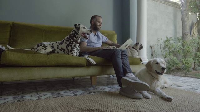 一个人和狗坐在沙发上用笔记本电脑视频素材