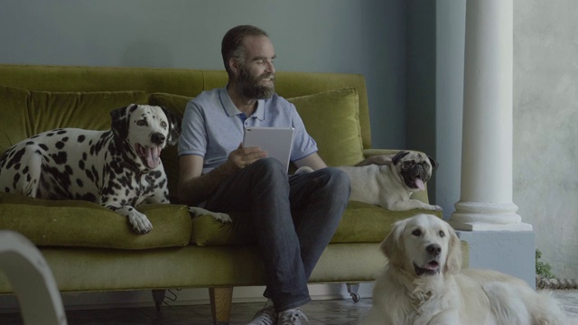 男人拿着平板电脑和狗狗坐在家里视频下载