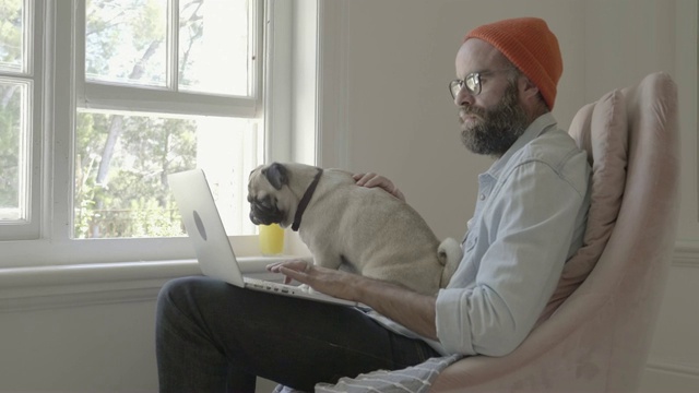 一名男子和哈巴狗坐在窗边使用笔记本电脑视频素材