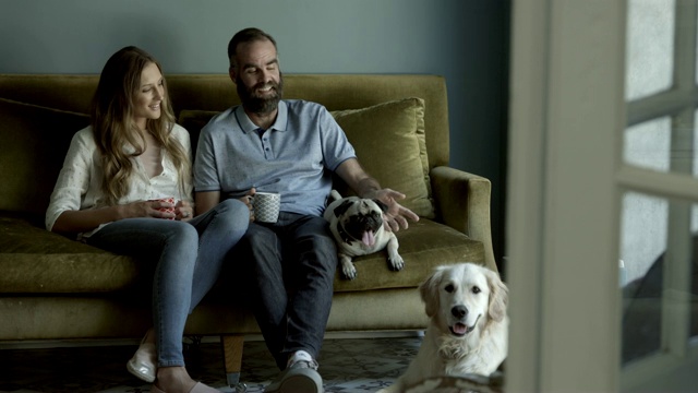 幸福的夫妇和狗坐在客厅里视频素材