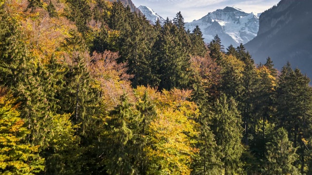 秋天的颜色瑞士山谷视图航空4k视频素材