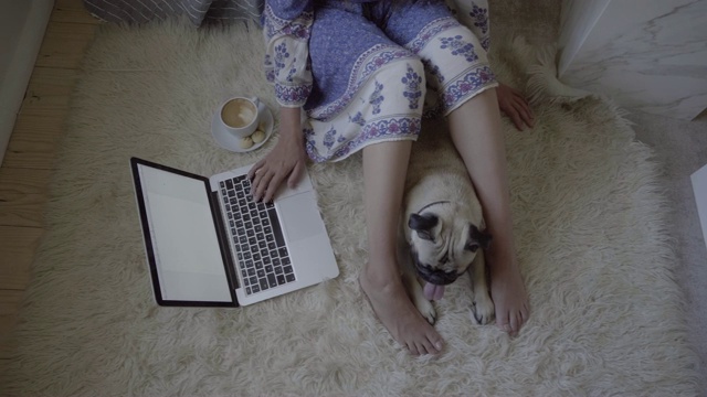 在家里和哈巴狗坐在一起时使用笔记本电脑的女人视频素材