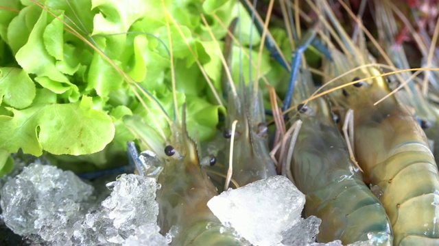 特写河虾和新鲜的海鲜在冰上与多莉拍摄视频素材