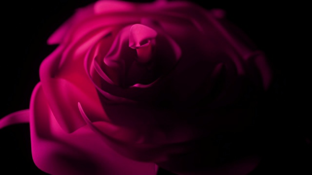单瓣粉红玫瑰在黑色背景上呈现出美丽的闪光效果。视频下载