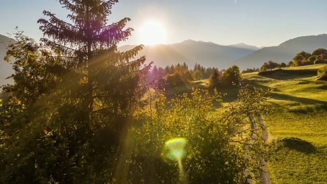Sunrise Mountains Tree Field瑞士Aerial 4k视频素材