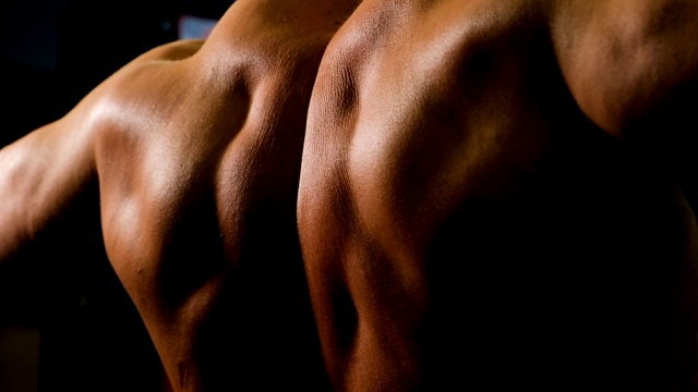 强壮的男性背部特写。健美运动员对胸部肌肉进行锻炼视频下载