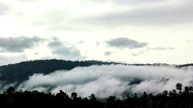 山和森林与雾视频素材