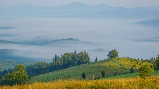 夏天的早晨和山谷中的薄雾。时间流逝视频素材