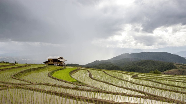 美丽的4k镜头稻田稻田，暴雨和云在泰国北部清迈。视频素材