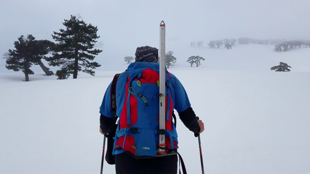 登山者冬天在森林里徒步旅行视频素材