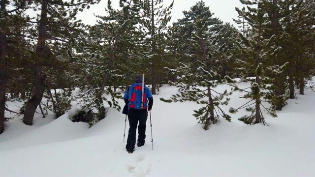 登山者冬天在森林里徒步旅行视频素材
