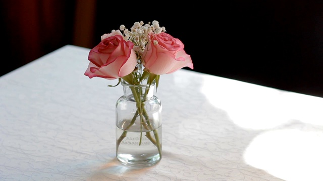 玫瑰小花瓶视频下载