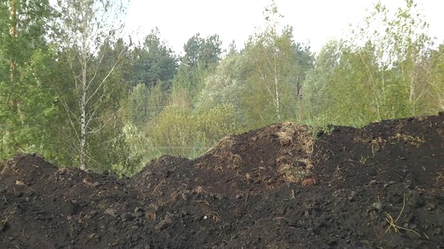 由水生生物和动物腐烂残留物组成的肥料从湖里提取的肥料(腐泥)堆在地上。视频下载