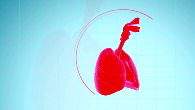 人体肺呼吸系统视频素材