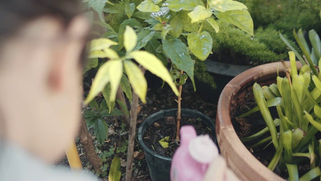 女孩在花园里给植物浇水视频下载