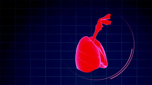 人体肺呼吸系统视频素材