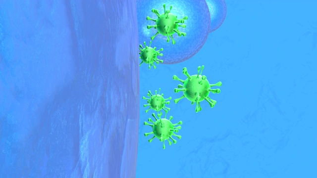 细胞被病毒感染过程的三维动画。视频下载