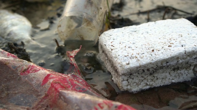 死鱼和塑料袋。塑料瓶和海滩上的其他垃圾。视频下载