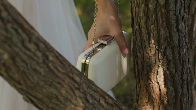 美丽的白色女性离合器挂在树上视频素材