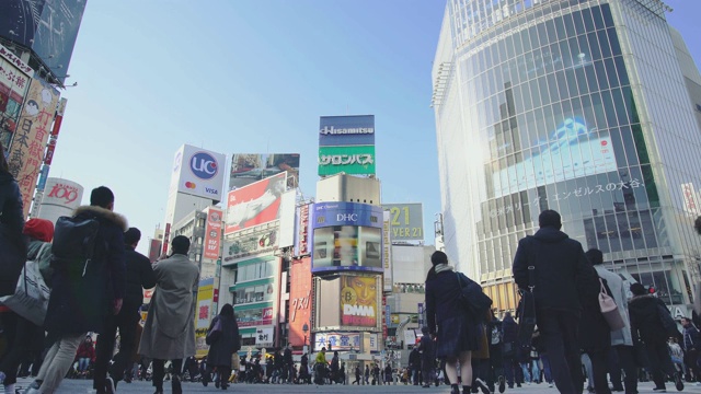 涩谷穿过广场视频下载