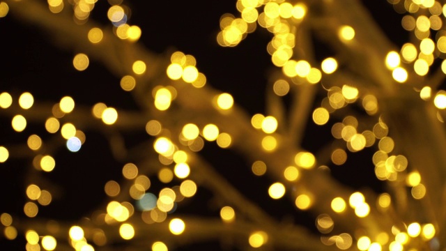 抽象模糊的金色和白色的散景灯花环在夜晚的树枝上。视频素材