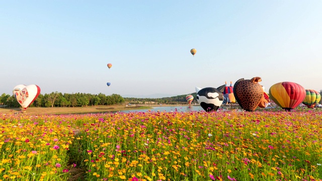 在清莱一年一度的节日上，热气球在天空中放飞的延时镜头视频下载