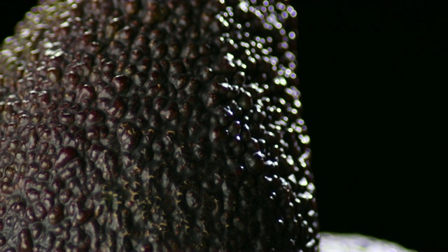 皮肤暗紫色的成熟有鳄梨旋转视频素材