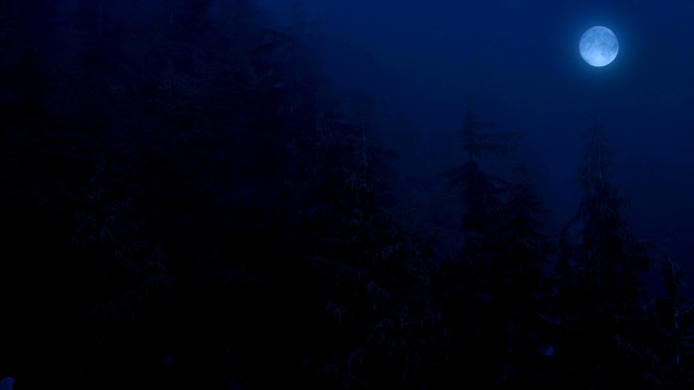 飞过迷雾森林，月亮在上面视频素材