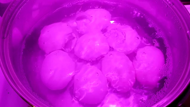 沸水中的鸡蛋视频素材