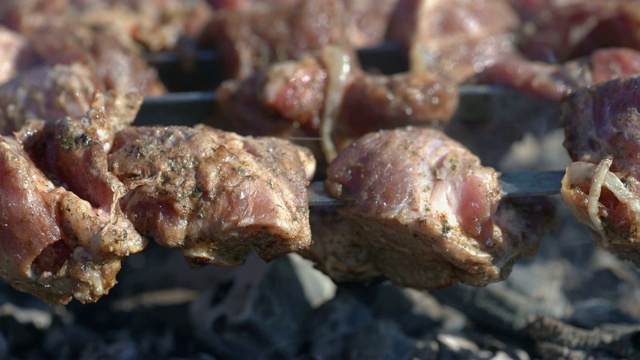 烤开胃猪肉烧烤烹饪木炭烤架与烟视频素材
