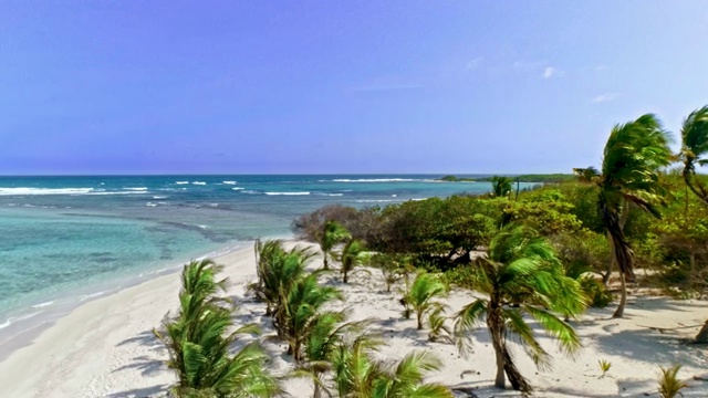 鸟瞰热带岛屿海滩椰子树，沙子，海浪和绿松石水域视频下载
