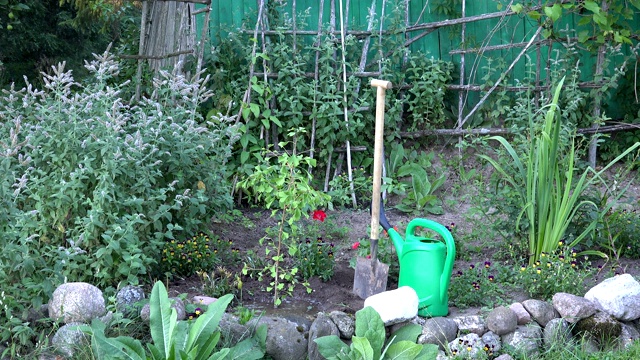 小树苗，铁锹工具和浇水罐在花园里。缩小。4 k视频素材