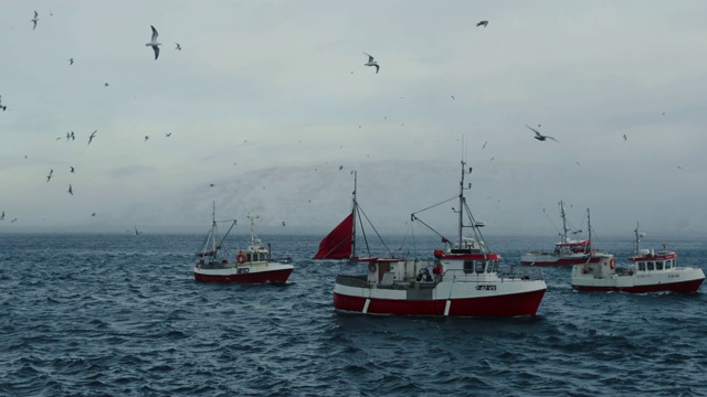 在北冰洋钓鳕鱼视频下载