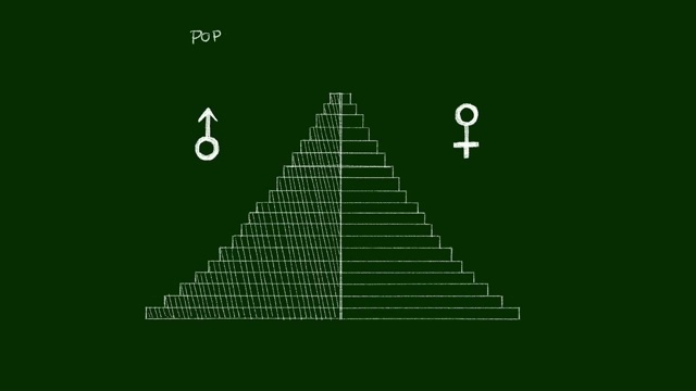 人口金字塔图的视频剪辑取决于性别视频下载