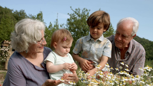 快乐的爷爷奶奶和孩子们在院子里视频素材