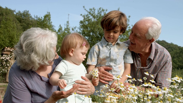 爷爷奶奶在院子里和孙子孙女们欢天喜地视频素材