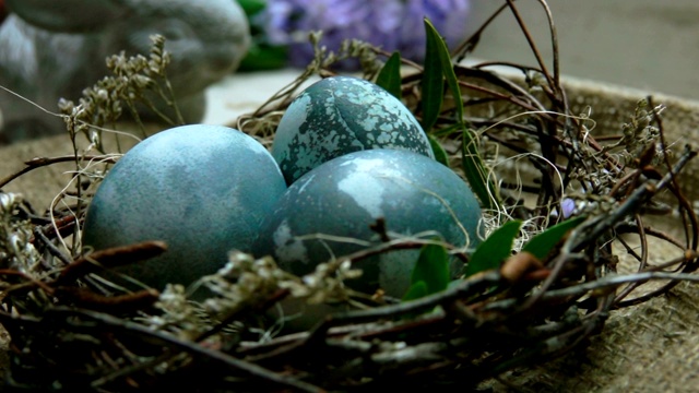 泛镜头运动复活节巢与染色的蓝色蛋视频下载