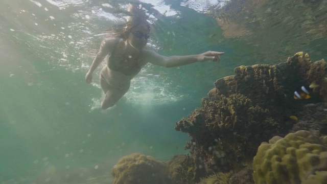 快乐的女人在水下游泳在异国情调的鱼和珊瑚礁在海里。戴眼镜的年轻女子在绿松石海洋里浮潜，观看热带鱼。视频素材