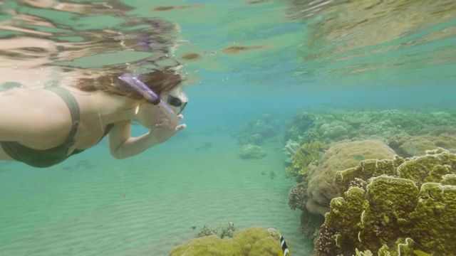 年轻女子浮潜在海水面罩和通气管和看水下世界。水下女子看热带鱼，而浮潜在海水。视频素材
