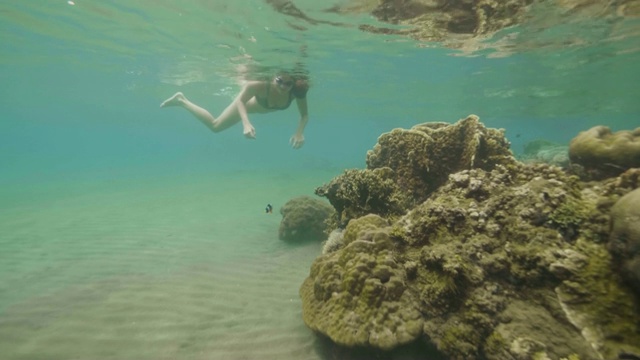 女人浮潜在护目镜和看异国情调的鱼游过珊瑚礁在海里。女孩浮潜在透明的海洋。水下世界和海洋生物。视频素材