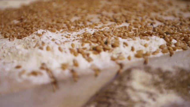 在埃及的卢克索，小麦被用传统的方式磨在石头上视频下载