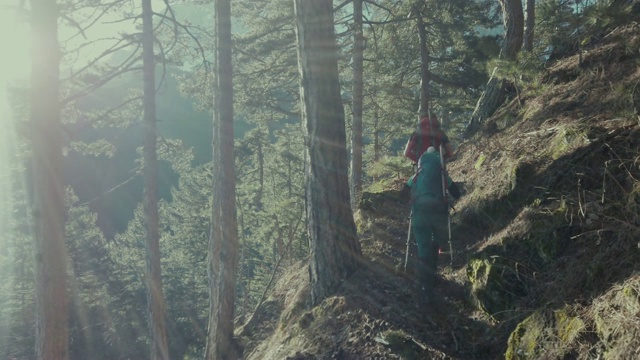 登山者冬天在森林里徒步旅行视频下载