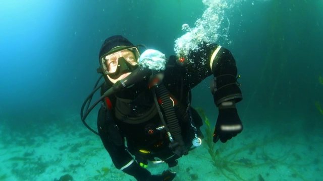 加州蒙特雷，潜水员从太空服中释放空气视频下载