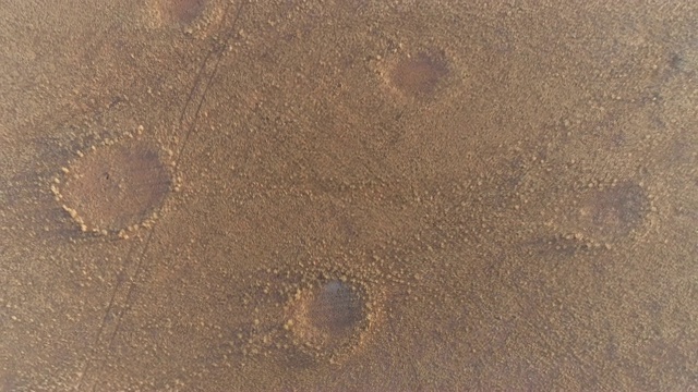 4K圆形缩小鸟瞰图著名的仙女圈在纳米比亚纳米布沙漠，纳米比亚视频素材