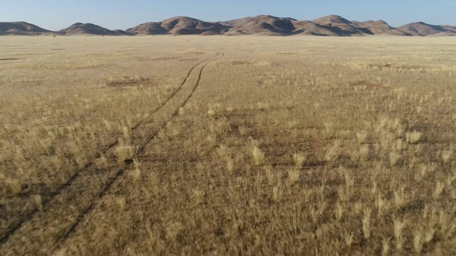 4K高的轨道鸟瞰图穿过纳米布沙漠的Koakoland大草原地区，显示著名的纳米比亚仙女圈视频素材