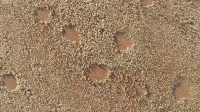 4K高圆形缩小鸟瞰图著名的仙女圈在纳米比亚纳米布沙漠，纳米比亚视频素材
